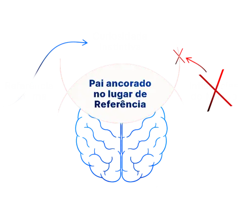 circle fase 3 elementor io optimized.webp