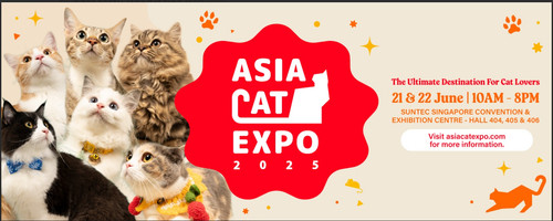 HDB Cat Safety Singapore | Cat Proof Window Grill & Bug Mesh.jpg