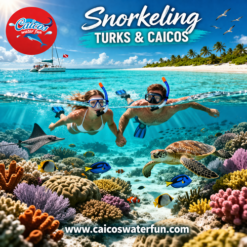 Discover the Best Snorkeling Turks and Caicos Adventures with Caicos Water Fun.png