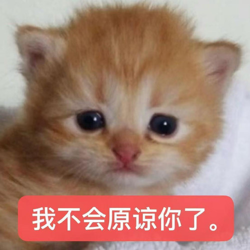1040g3k031onvd00nmg305pptsjb7dg7vcmllve0!nd dft wlteh jpg 3.jpg