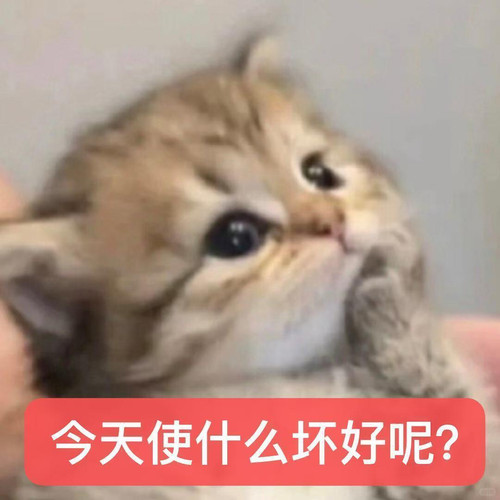 1040g3k031onvd00nmg4g5pptsjb7dg7vtum09uo!nd dft wlteh jpg 3.jpg