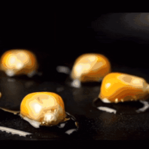 IMG 5272.gif