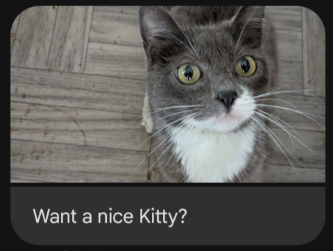 f8edeaf8f018.png