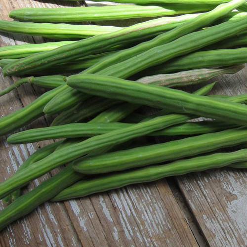DrumSticks.jpg
