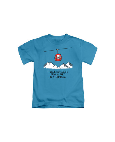 c831 Humorous Ski Gondola+Sapphire.jpg
