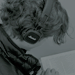 Spencer ficha icon 3.png