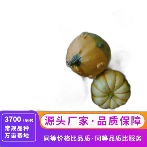 p1 image 1.jpg