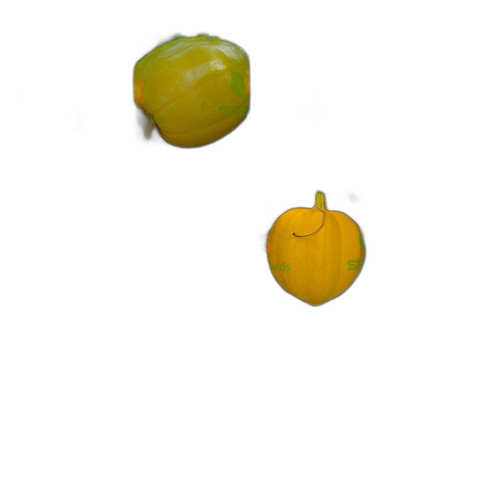 p1 image 3.jpg