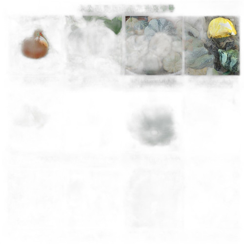 p1 image 2.jpg