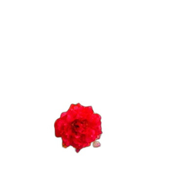 p3 image 2.jpg