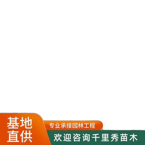 p2 image 4.jpg