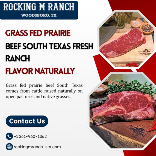 Grass Fed Prairie Beef South Texas Fresh Ranch Flavor Naturally.jpg