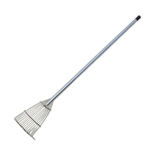 p4 image 5.jpg