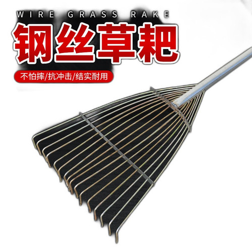 p4 image 3.jpg