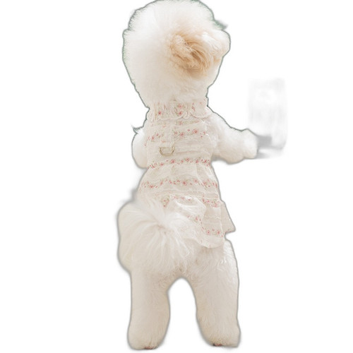 p5 image 4.jpg