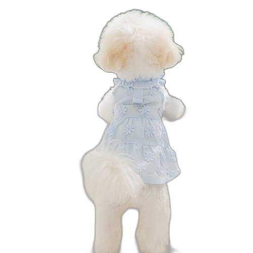 p5 image 3.jpg
