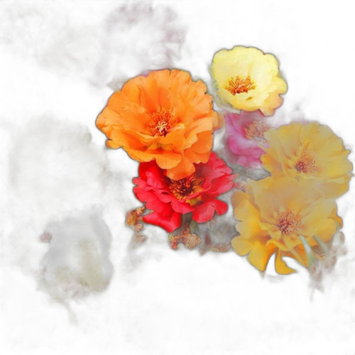 p4 image 4.jpg
