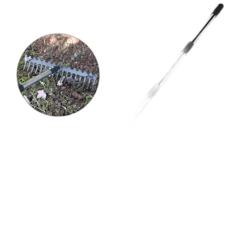 p5 image 1.jpg
