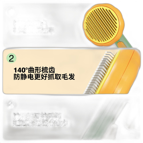 p5 image 3.jpg