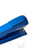 p5 image 4.jpg
