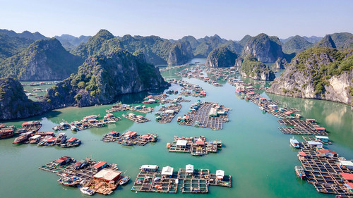 Corporate Offsite Venues in Vietnam – Where Business Meets Luxury & Adventure.jpg