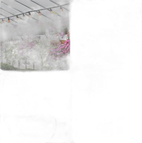 p4 image 4.jpg