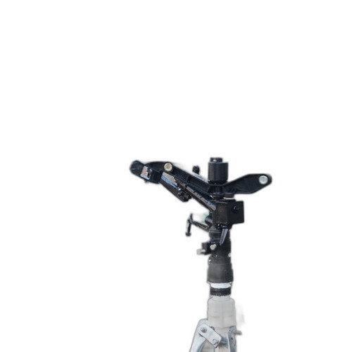 p3 image 3.jpg