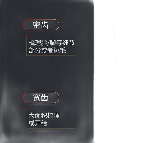 p1 image 3.jpg