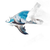 p5 image 1.jpg