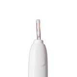 p5 image 4.jpg
