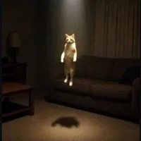 c0f88a7aa5bc.webp