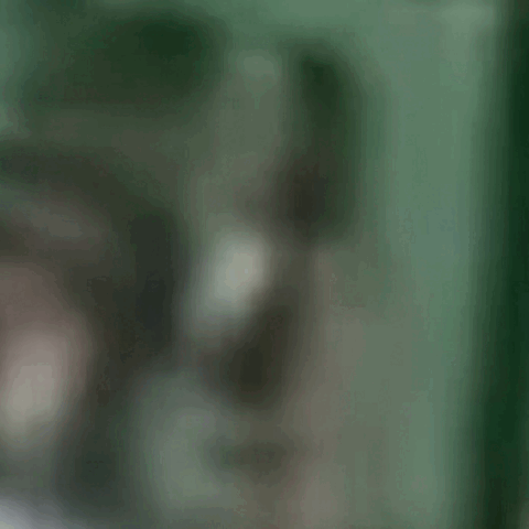 merged (4) (6).gif