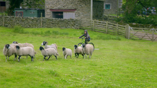 Beyond The Yorkshire Farm Reuben and Clive 0.png