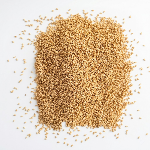 Sesame.png