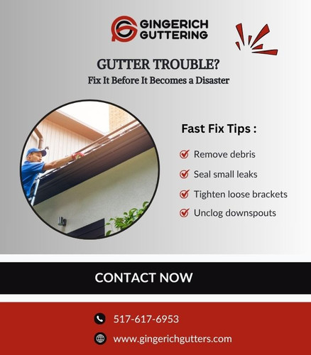 Gutter Trouble? Fix It Before It Gets Worse!.jpg