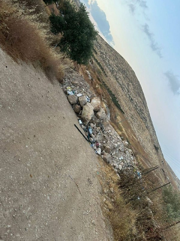 صورة الخبر