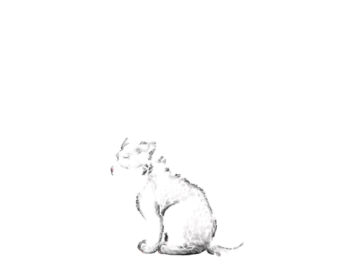 IMG 1146.png