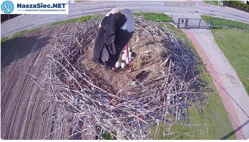 MWSnap762.jpg