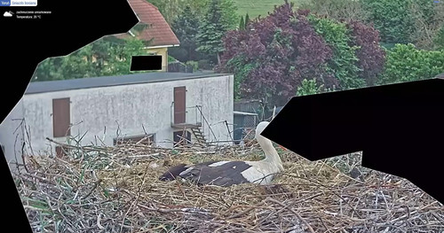 MWSnap779.jpg