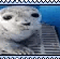 IMG 2575.gif