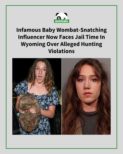 728. She reportedly bragged about breaking the rules “on social media to over 90,000 followers.”.png