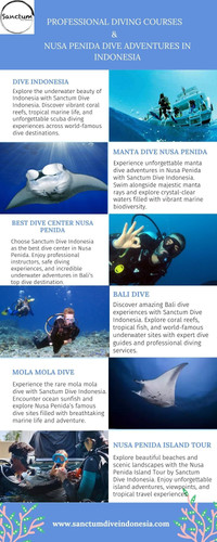 Professional Diving Courses & Nusa Penida Dive Adventures in Indonesia.jpg