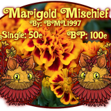 marigold mischief