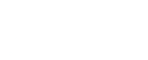 dingbu.png