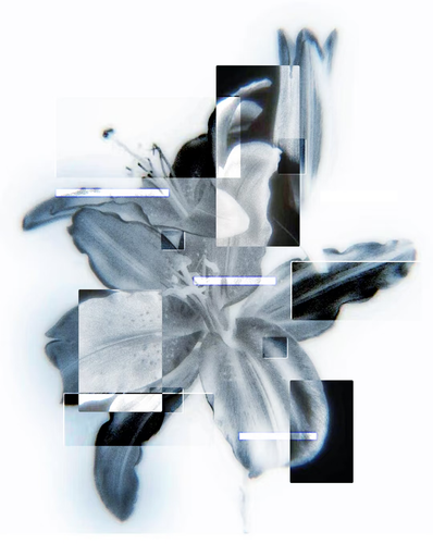 1000069732.png