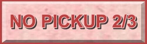NO PICKUP 2/3.jpg