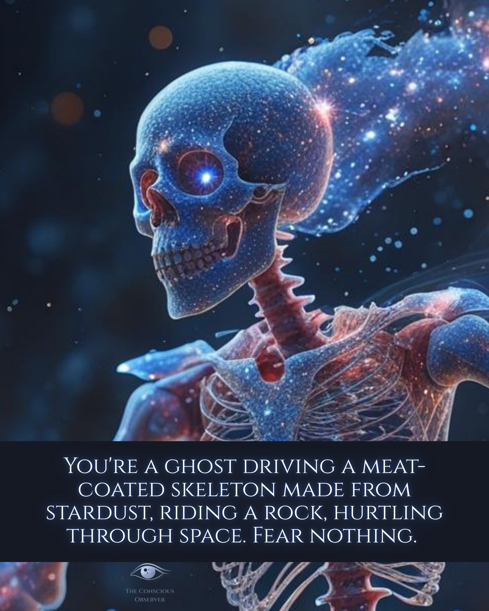 [Image: C9ZnSIV.jpg]