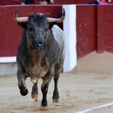 C9aDXu2.th.jpg