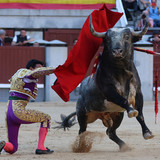 C9at61s.th.jpg