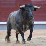 C9atuz7.th.jpg
